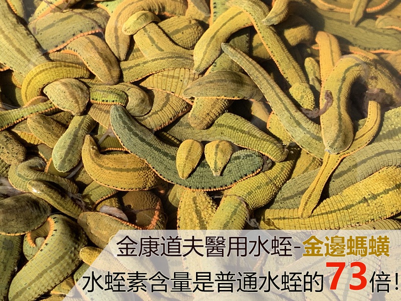 水蛭素能治疗牛皮癣吗？