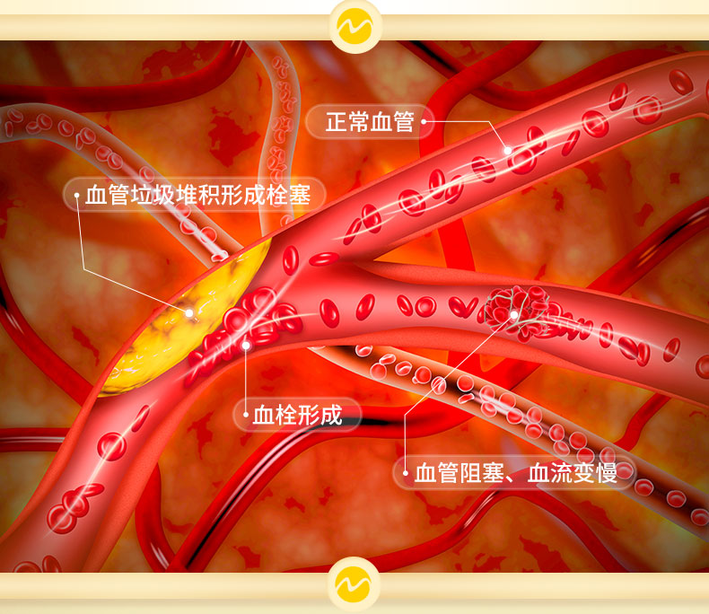 20230801简体版-产品详情页30粒_09.jpg