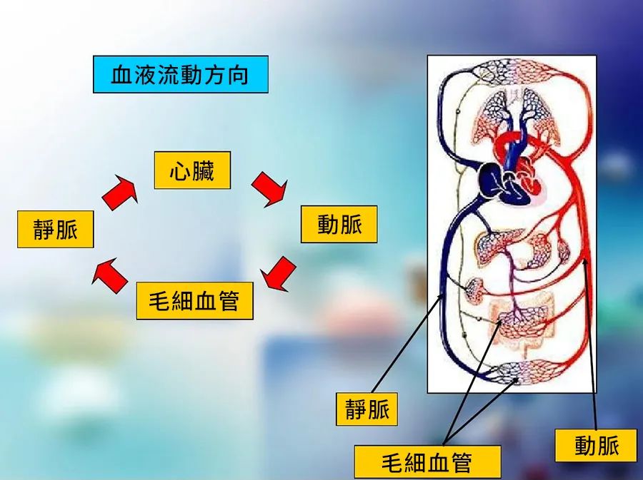金康道夫天然水蛭素，有效助力微循环障碍！